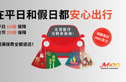佳节期间路途中获得 保障 (12)